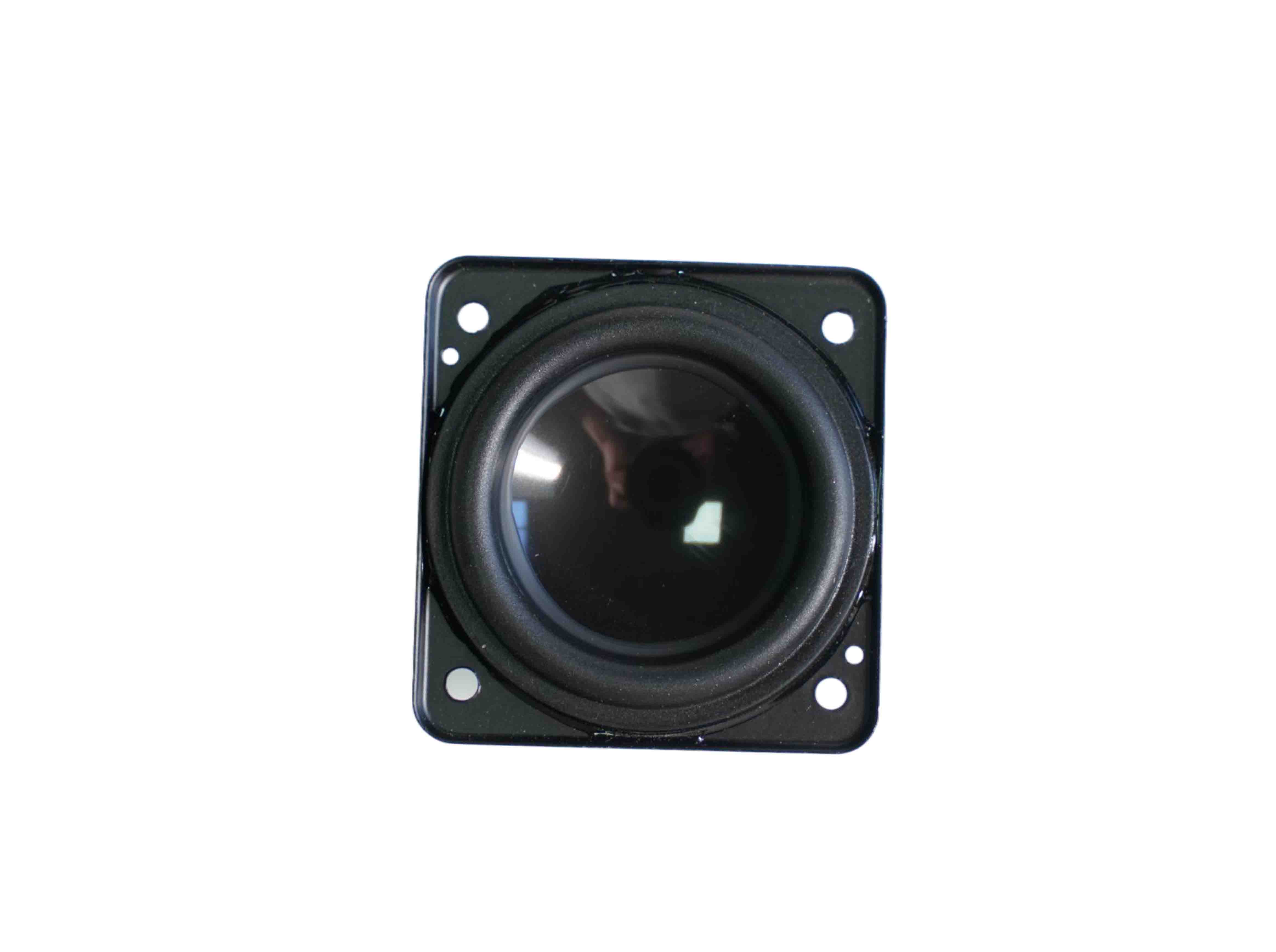Full Range Speaker with Durable Construction