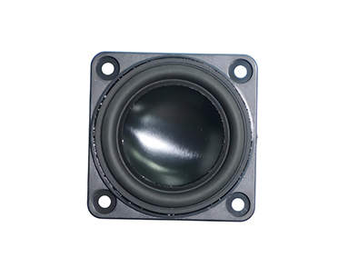 Versatile Full Range Speaker for Music and Multimedia