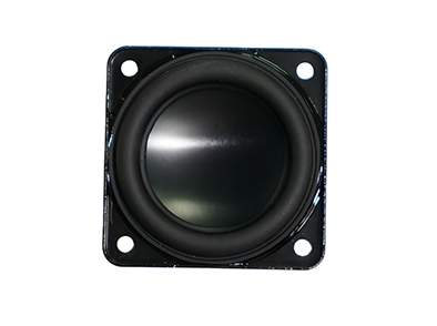 Versatile Full Range Speaker for Budget-Friendly Audio