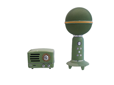 What Features Should You Look for in An Elvis Presley Jukebox Speaker?